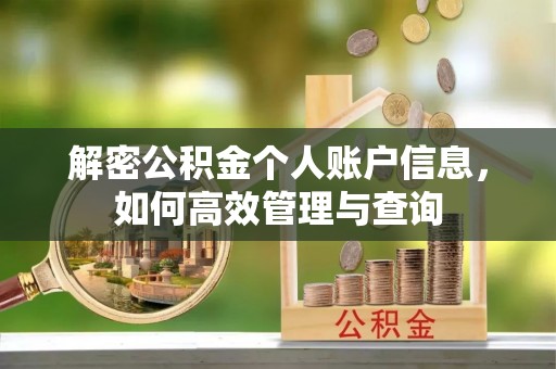 深圳解密公积金个人账户信息，如何高效管理与查询