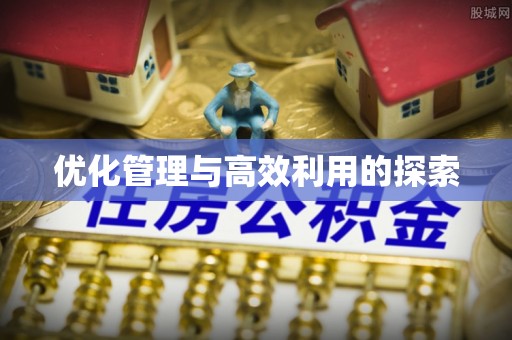 深圳优化管理与高效利用的探索
